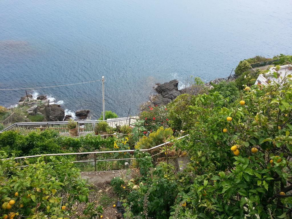 Affittacamere La Branda La Spezia Bagian luar foto